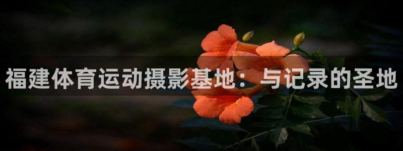 678体育官网