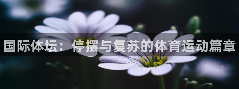 皇冠678体育