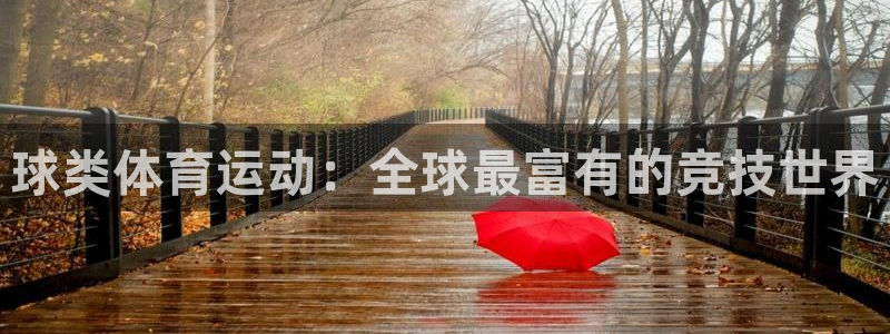 678体育app：球类体育运动：全球最富有的竞技世界