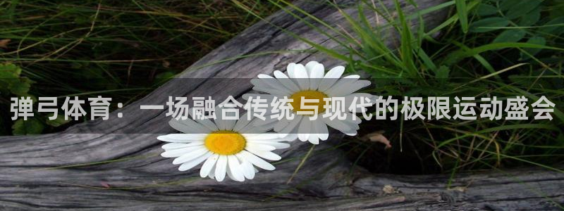 678体育官网地址：弹弓体育：一场融合传统与现代的极限运动盛会
