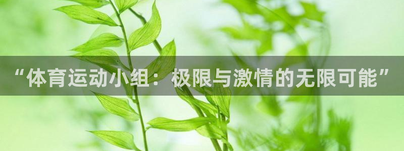 678体育官网下载：“体育运动小组：极限与激情的无限可能”