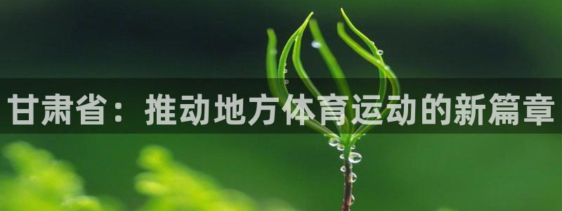 678体育官网：甘肃省：推动地方体育运动的新篇章