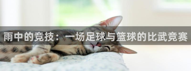 678体育知识：雨中的竞技：一场足球与篮球的比武竞赛
