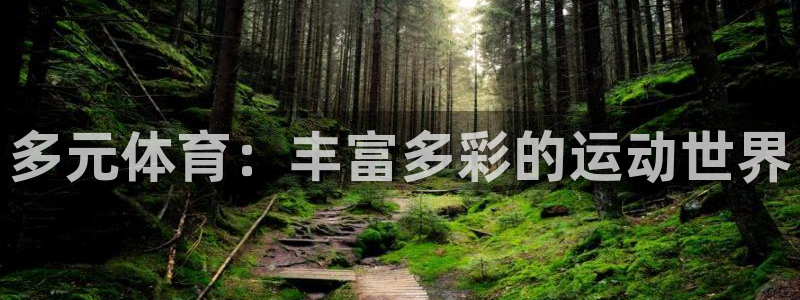 678体育app：多元体育：丰富多彩的运动世界