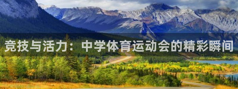 678体育官网下载：竞技与活力：中学体育运动会的精彩瞬间