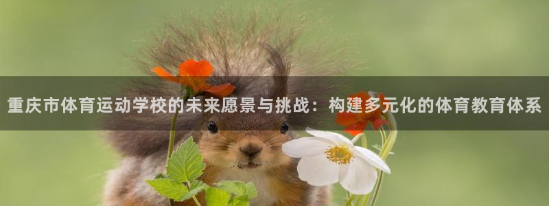 678体育官网：重庆市体育运动学校的未来愿景与挑战：构建多元化的体育教育体系