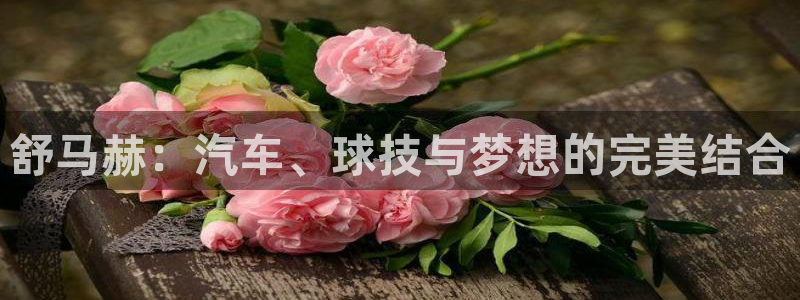 皇冠678体育：舒马赫：汽车、球技与梦想的完美结合