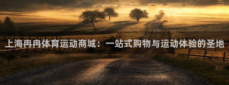 678体育官网：上海冉冉体育运动商城：一站式购物与运动体验的圣地